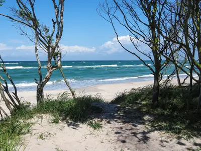 Ferienwohnung für 3 Personen (70 m²) in Graal-Müritz (Ostseeheilbad) 9/10