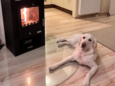 Ferienwohnung für 5 Personen (59 m²) in Graal-Müritz (Ostseeheilbad) 6/10