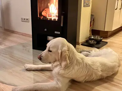 Ferienwohnung für 5 Personen (59 m²) in Graal-Müritz (Ostseeheilbad) 7/10