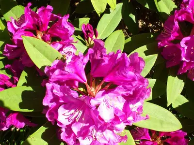 Ferienwohnung für 3 Personen (46 m²) in Graal-Müritz (Ostseeheilbad) 5/10