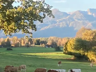 Blick von Wohnzimmer und Terrasse