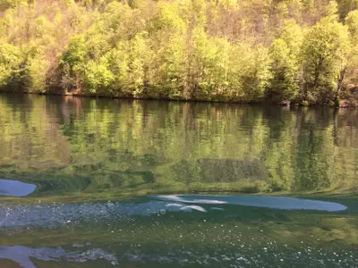Tüttensee