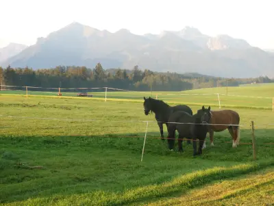 Aussicht mit Pferden