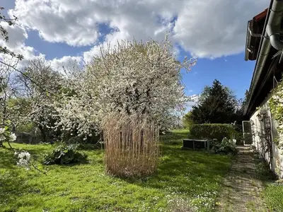 Ferienwohnung für 7 Personen (120 m²) in Grabowhöfe 5/10