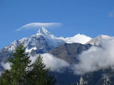 Aussicht Sommer von Terrasse 