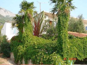 23771137-Ferienwohnung-4-Gradac (Split-Dalmatien)-300x225-1