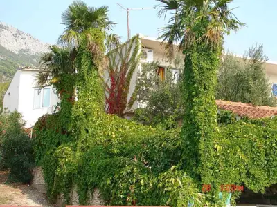 Ferienwohnung für 2 Personen (22 m²) in Gradac (Split-Dalmatien) 6/10