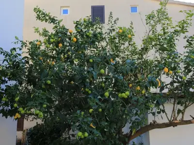 Ferienwohnung für 6 Personen in Gradac 7/10