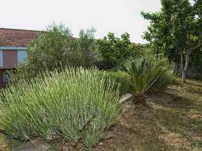 Ferienwohnung für 2 Personen (23 m²) in Gradac (Split-Dalmatien) 10/10