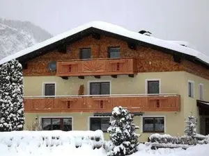 Ferienwohnung für 4 Personen (60 m²) in Haldensee