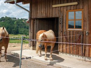 20878351-Ferienwohnung-7-Grafenau-300x225-3