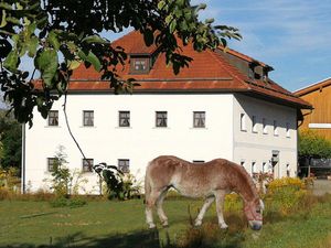 Ferienwohnung für 5 Personen in Grafenau