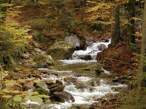 18085771-Ferienwohnung-2-Grafenau-300x225-4