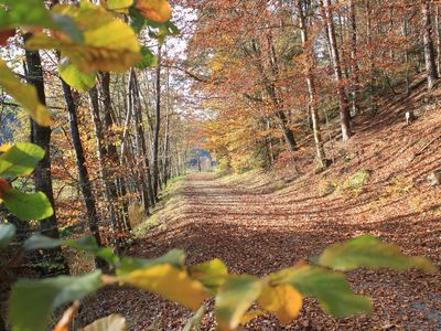 Ilzwanderweg