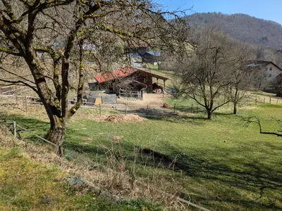 Rund ums Haus