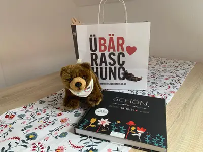 Überraschungspaket a