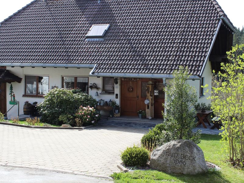 22004915-Ferienwohnung-3-Grafenhausen-800x600-1