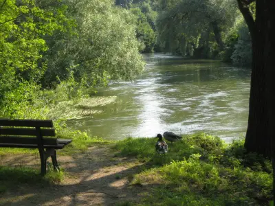 Landschaft