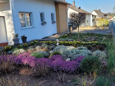 Vorgarten im Frühling