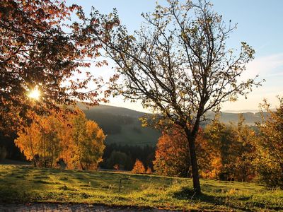 goldener Herbst.JPG