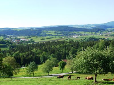 Blick aus dem Fenster.JPG