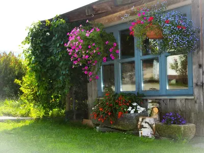 Gartenlaube.png