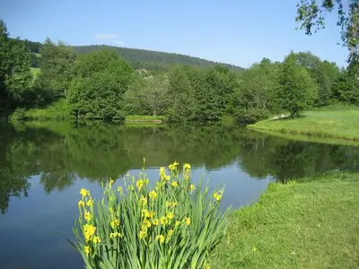 Graineter Weiher 3.j