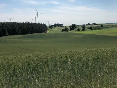 Ferienwohnung für 4 Personen (70 m²) in Grambow (Uecker-Randow) 6/10