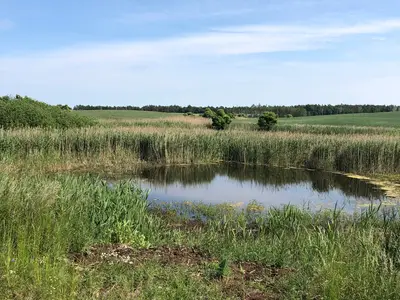 Ferienwohnung für 4 Personen (70 m²) in Grambow (Uecker-Randow) 7/10