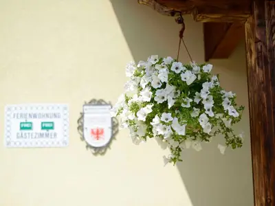 Ferienwohnung für 4 Personen (60 m²) in Haldensee 5/10