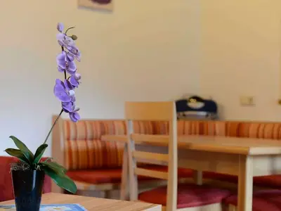 Ferienwohnung für 4 Personen (60 m²) in Haldensee 7/10