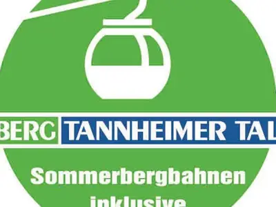 Ferienwohnung für 5 Personen (61 m²) in Haldensee 4/10
