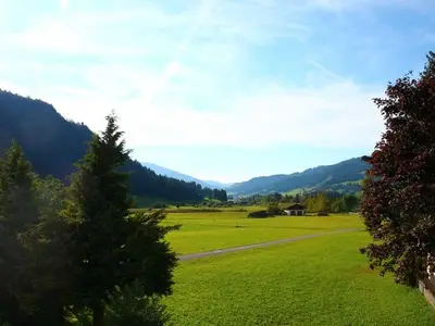 Ferienwohnung für 4 Personen (47 m²) in Haldensee 6/10