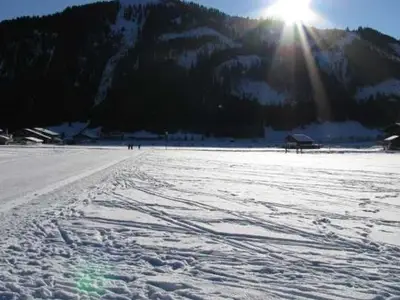Ferienwohnung für 6 Personen (70 m²) in Haldensee 2/10