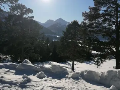 Ferienwohnung für 6 Personen (70 m²) in Haldensee 3/10