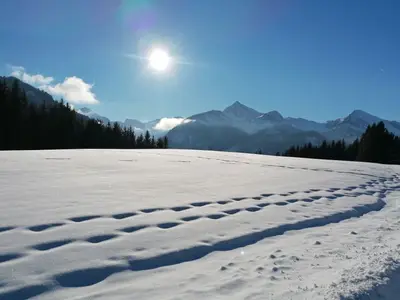Ferienwohnung für 6 Personen (70 m²) in Haldensee 4/10