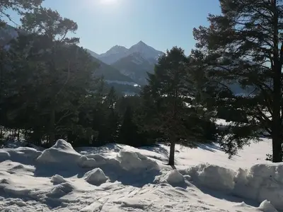 Ferienwohnung für 6 Personen (70 m²) in Haldensee 6/10