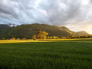 21933753-Ferienwohnung-6-Grassau-300x225-3