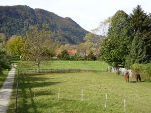 22765357-Ferienwohnung-2-Grassau-300x225-4