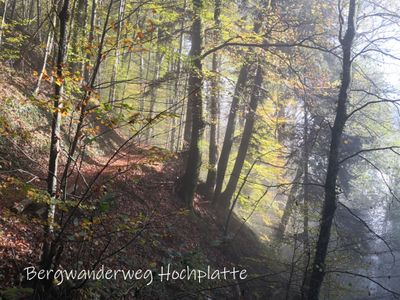 Bergwanderung Hochplatte