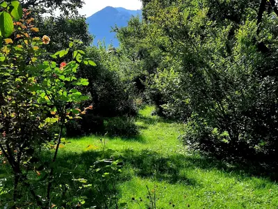 Garten Graziadei