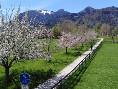 Ausblick Obstlehrpfad