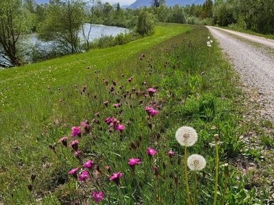 Auf dem Rad-und Wanderweg am Achendamm