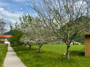 23586909-Ferienwohnung-4-Grassau-300x225-5