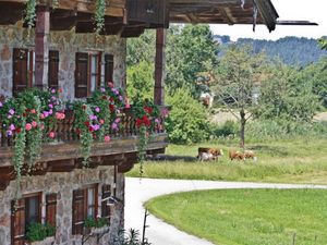 19085776-Ferienwohnung-4-Grassau-300x225-2