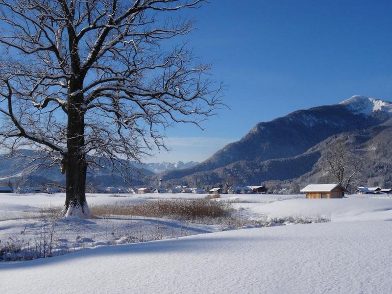 19119479-Ferienwohnung-4-Grassau-800x600-2