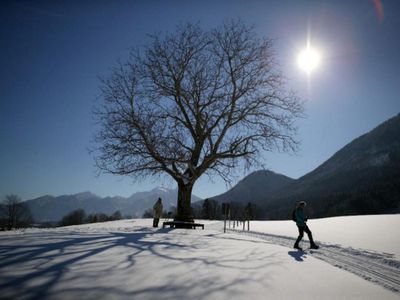 Winterausblick