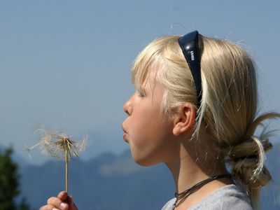 Drobn- am - Berg- mit - Pusteblume