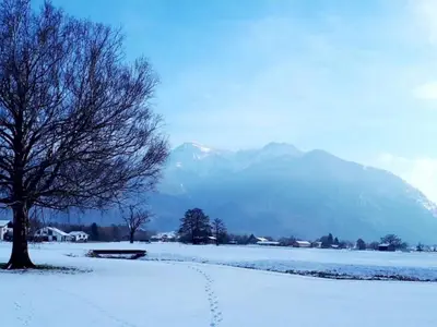 Winter