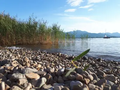 Chiemsee